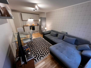 Cozy private apartment WiFi 1BR Sleeps 4 great Central Location
